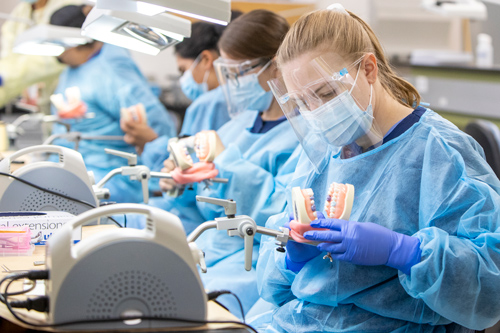 Medical students at Palomar College