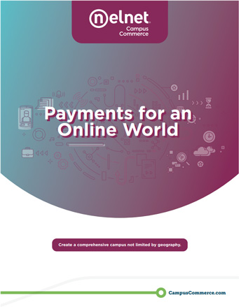 E-book cover titled Payments for an Online World